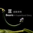 31看世界 - 超級食物：豆