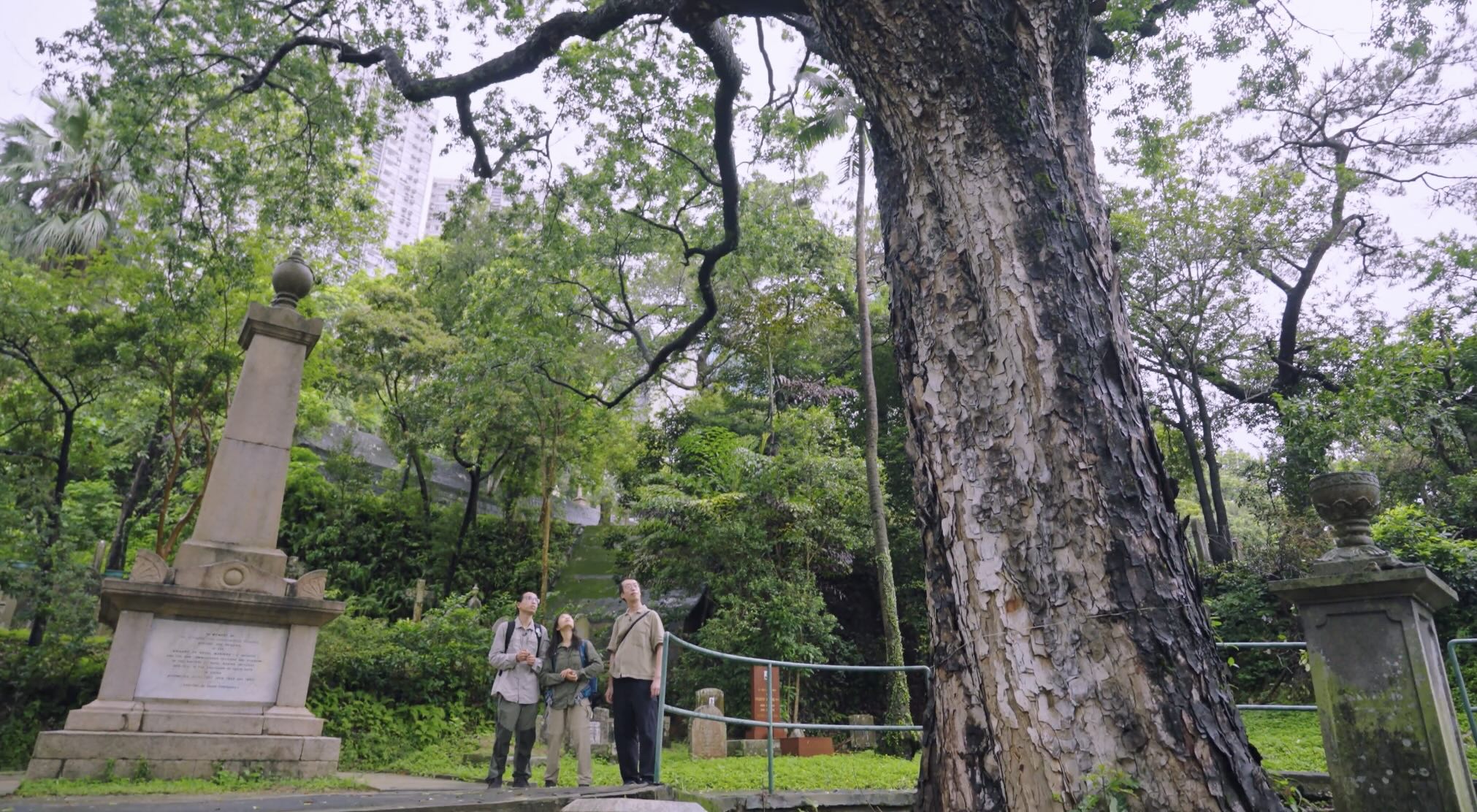 大自然零距離 2 | 第五集 墳場 x 百年古樹 x 跑馬地