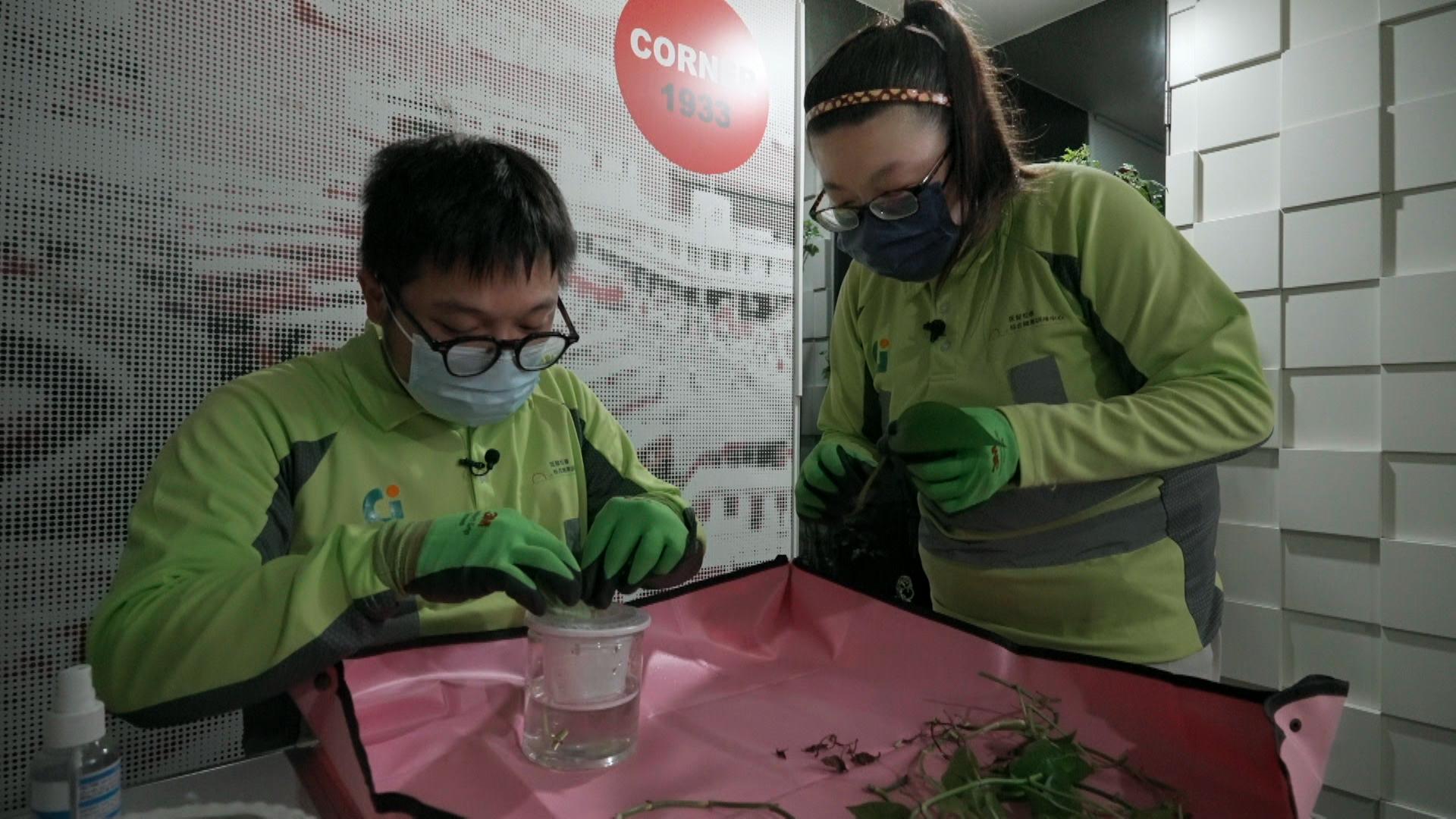 巴士園藝組員工（方兆曦）（左起）和（馬筠婷）以堅持與熱情，在園藝崗位上默默付出，為巴士環境帶來生機與溫暖。