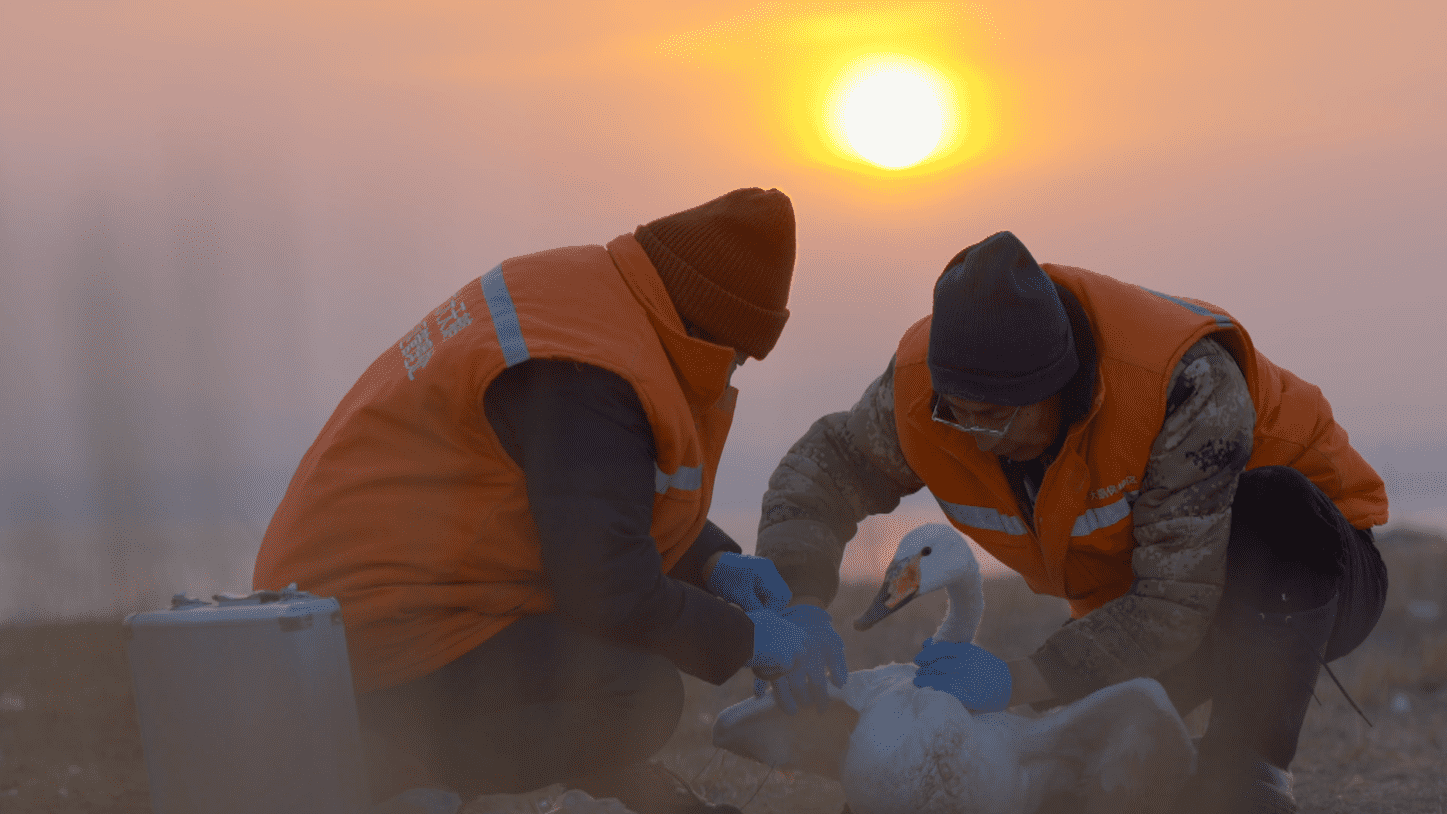 Enchanting China Season 2 | Episode 2: Pristine Seas and Shores