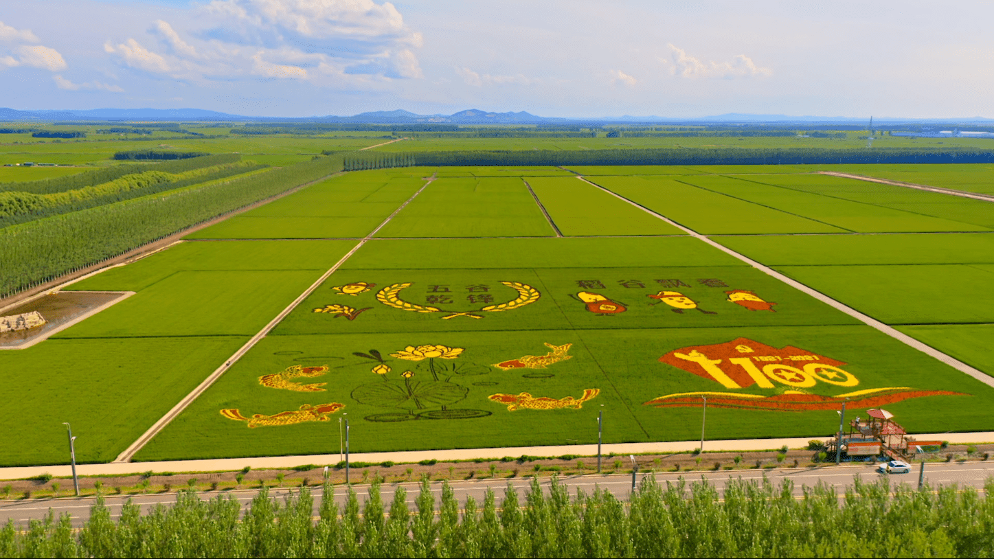 《遇見美麗中國第二季》 | 第三集《金黄稻海》