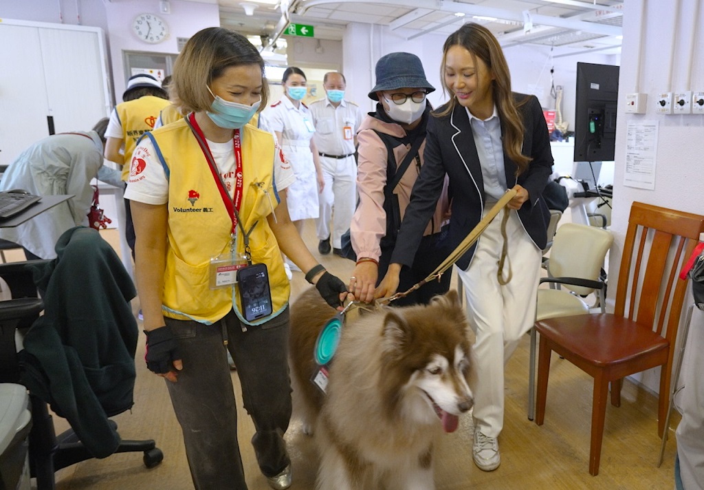 醫管局-動物探訪活動