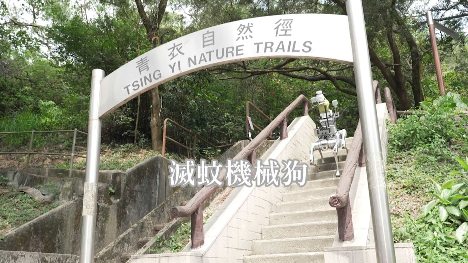 相片集