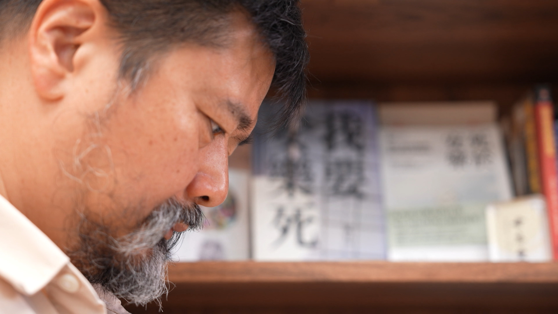 相片集