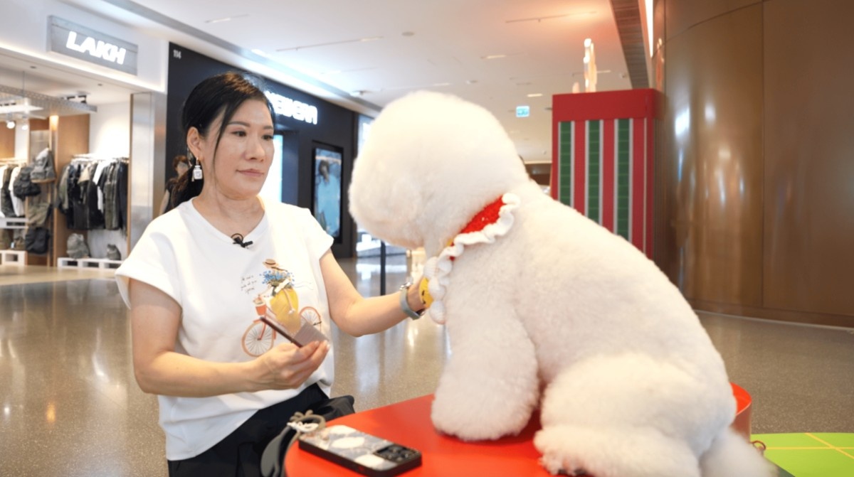 Hong Kong Connection  | Petconomy