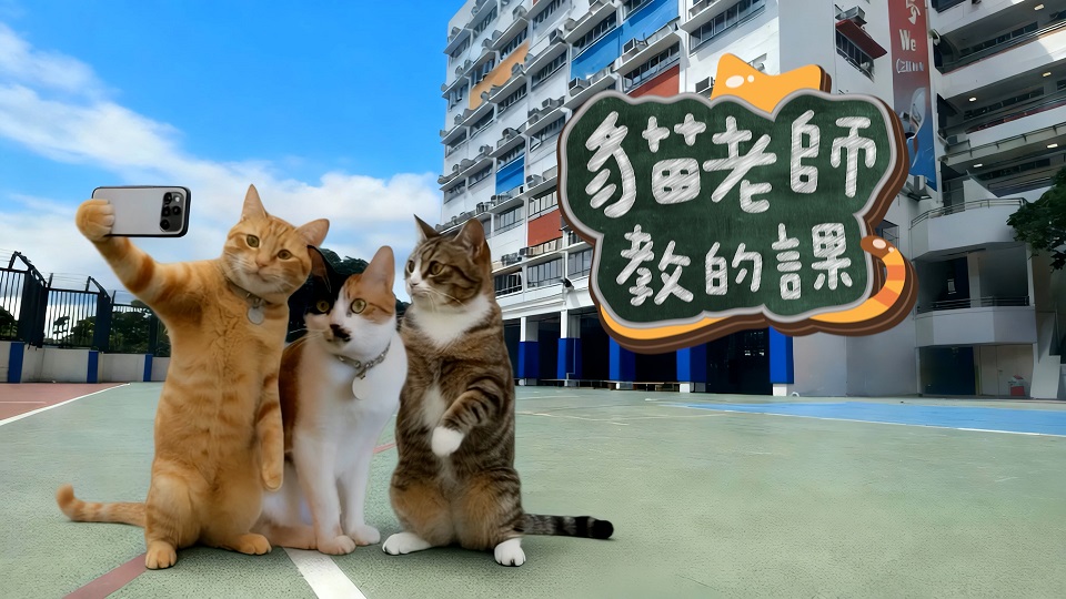 香港故事 - 尾巴會說話 | 貓老師教的課