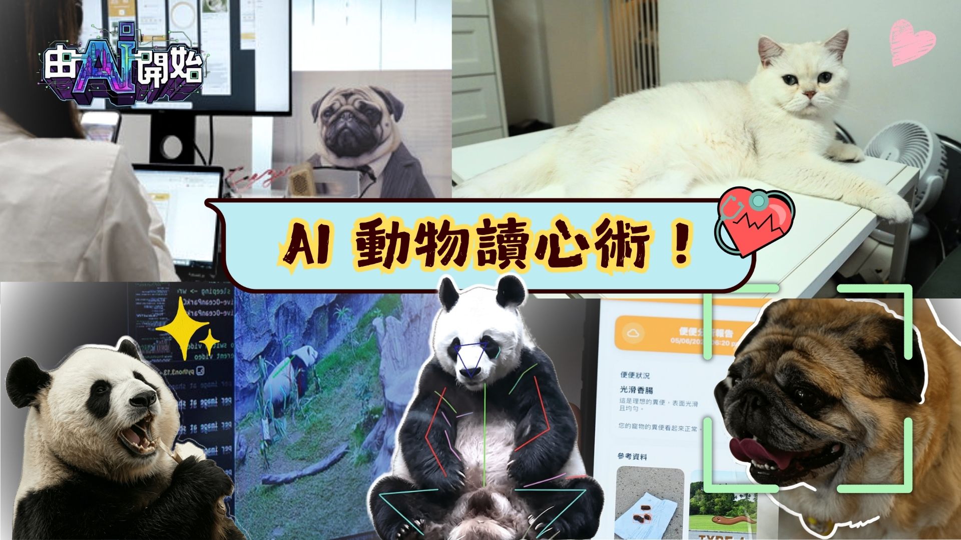 香港故事: 由AI開始 | AI 動物讀心術