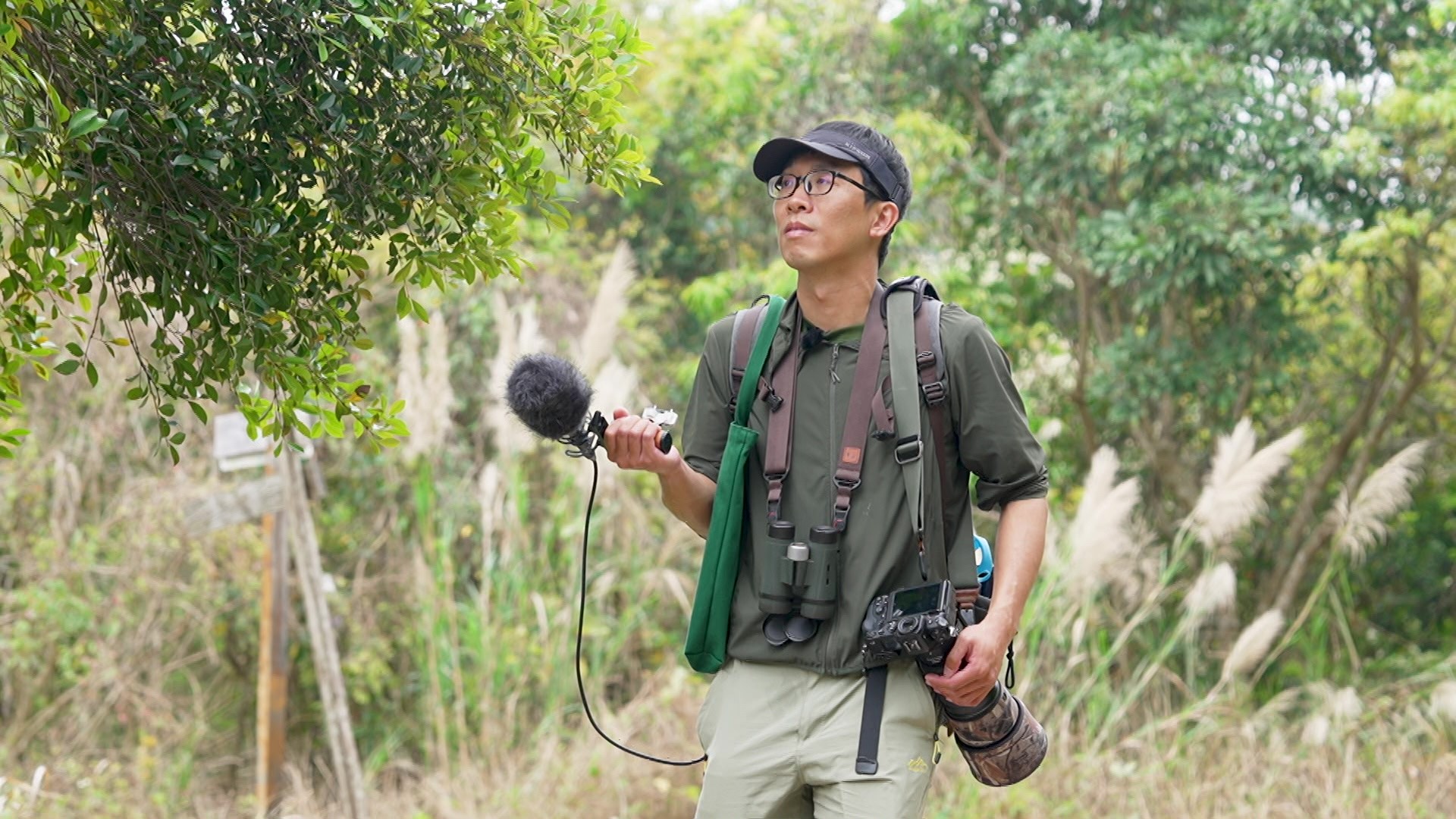 Hong Kong Stories - Echoes of Sound | Finding Birds Through Sound