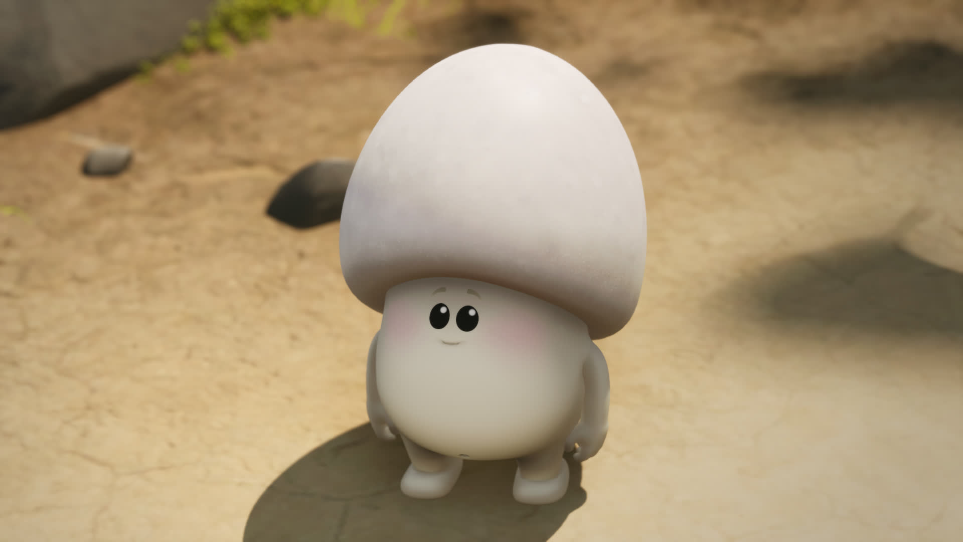 相片集