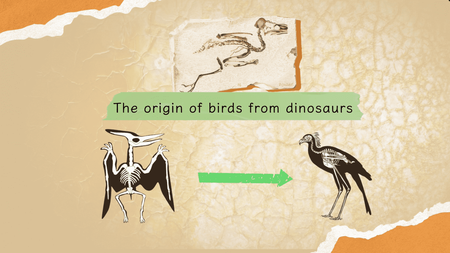 Science: Creating the Future 3 | Episode 2 “Life Science Prize – Origin of Birds from Dinosaurs”