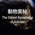 The Secret Knowledge of Animals