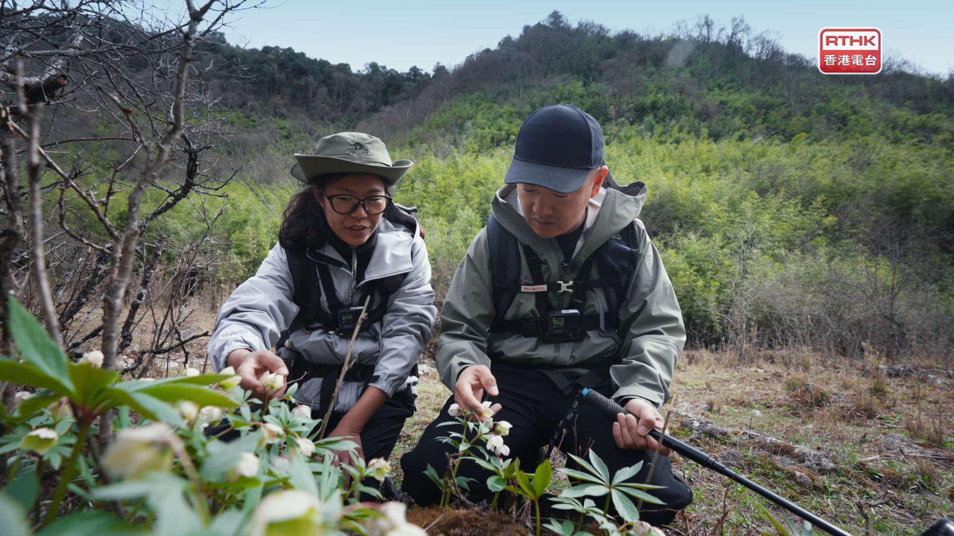 野境求真 | 第三集：勇闖天坑植物秘境