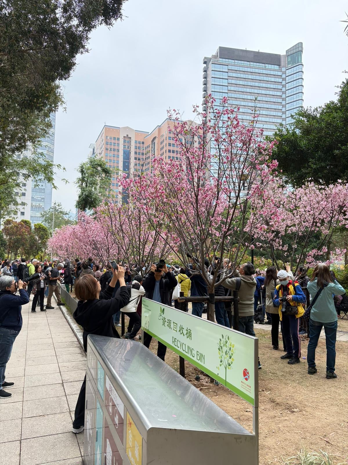 十八好時光 | 十八好時光（鄧煥儀、李漫芬、伍文生）