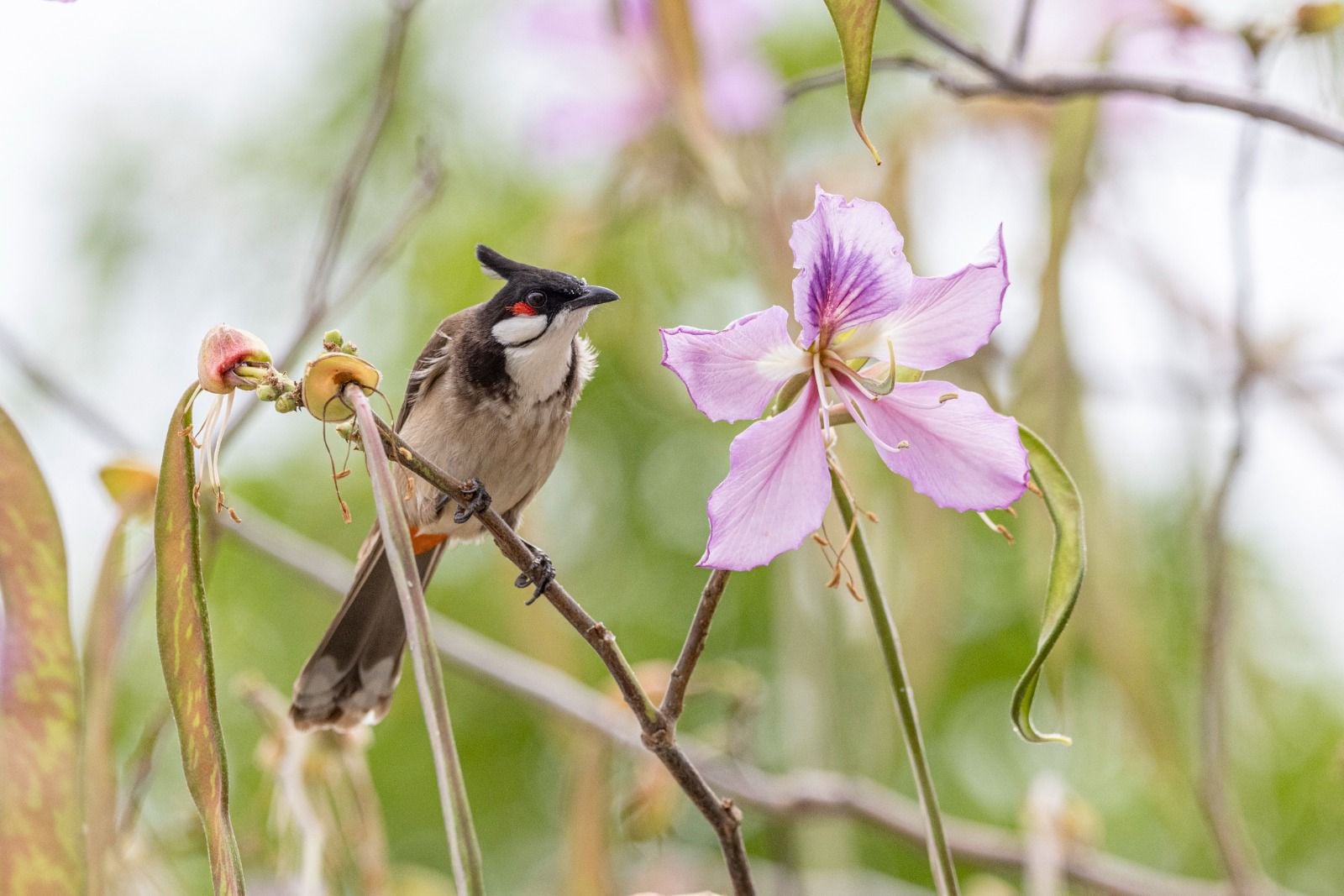 十八好時光 | 十八好時光（區凱聲、李漫芬、伍文生）