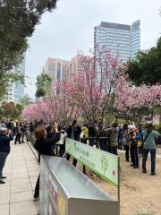 十八好時光 | 十八好時光（鄧煥儀、李漫芬、伍文生）