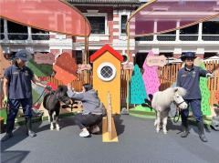 十八好時光 | 十八好時光（林詠雯、李漫芬、伍文生）