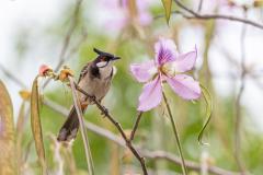 十八好時光 | 十八好時光（區凱聲、李漫芬、伍文生）