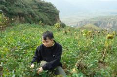 夢想號啟航 | 嘉賓：香港中文大學生命科學學院教授兼農業生物技術全國重點實驗室主任林漢明 下