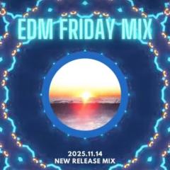 騷動音樂 | 音樂大秘寶：《雙失情人節》、《時光倒流一句話》｜EDM Friday Mix：New Release Mix 