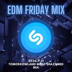 騷動音樂 | 音樂大秘寶：《蜘蛛俠》、《下雨天 》｜EDM Friday Mix：Tomorrowland Most Shazamed Mix