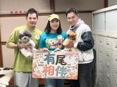 黃智賢、郭晉安