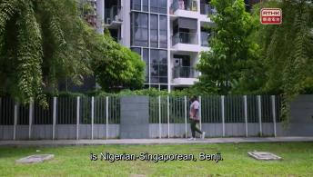 Why Are Carbs Always Discarded?