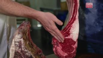 Is Offal Really Awful?