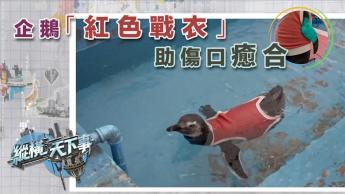 中國與歐盟貿易談判