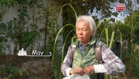 Hong Kong Stories: Tails of the City (English Version)