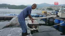 Hong Kong Stories ---Bonding at Water’s Edge