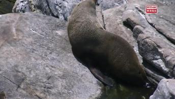 得意寶寶（上） 