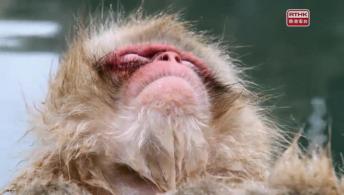 慢活寶寶（上）