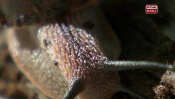 慢活寶寶（下）