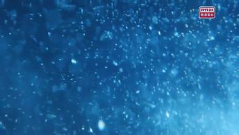 趣怪寶寶（上） 