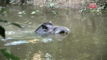 趣怪寶寶（下） 