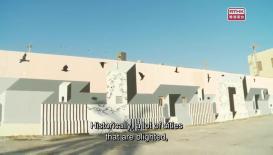 Florida: The Other Hollywood