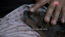 生態捍衛戰 - 泰國篇 The Last Defenders of Thailand