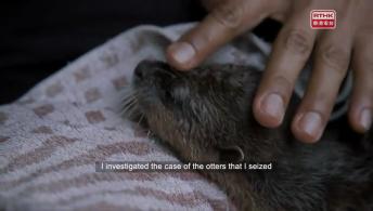 生態捍衛戰 - 泰國篇 The Last Defenders of Thailand