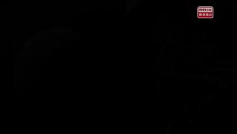 我所看见的风暴