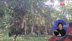 時事摘錄