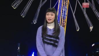 新春國際匯演之夜； 冬日嘉年華