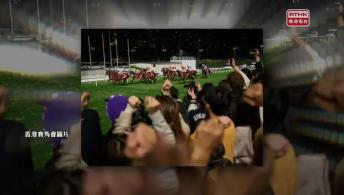 當下香港藝術展; 欖球賽馬週