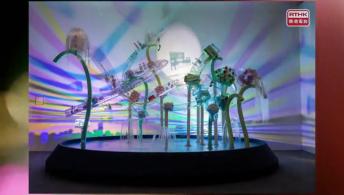 七人欖球賽; 當下香港藝術展