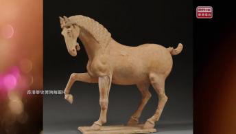 美食博覽；長安萬象展