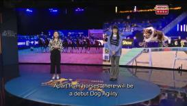 Mega Events, Mega Hong Kong