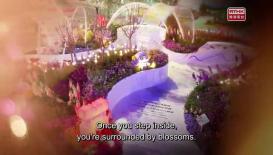 藝術中環2026; 香港花卉展覽