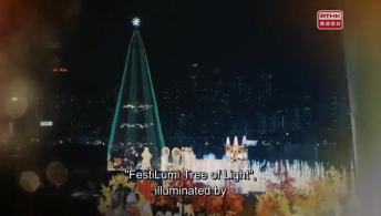 Live: Hong Kong Art Exhibition, Festilumi