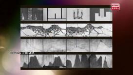 The Hong Kong Sevens; Live: Hong Kong Art Exhibition