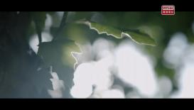 31看世界 -  超時空尋找