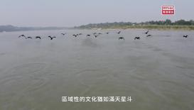 第五集：河洛記 兼收并蓄(下)